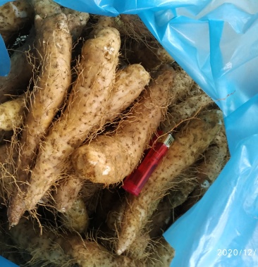 潮汕特产姜薯现挖带皮大个 中个小个 价格优惠