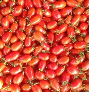 丹东东港409小柿子果肉饱满酸甜可口