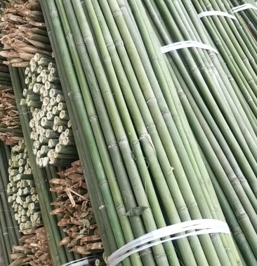 大棚专用旗杆竹各种蔬菜大棚竹杆欢迎选购