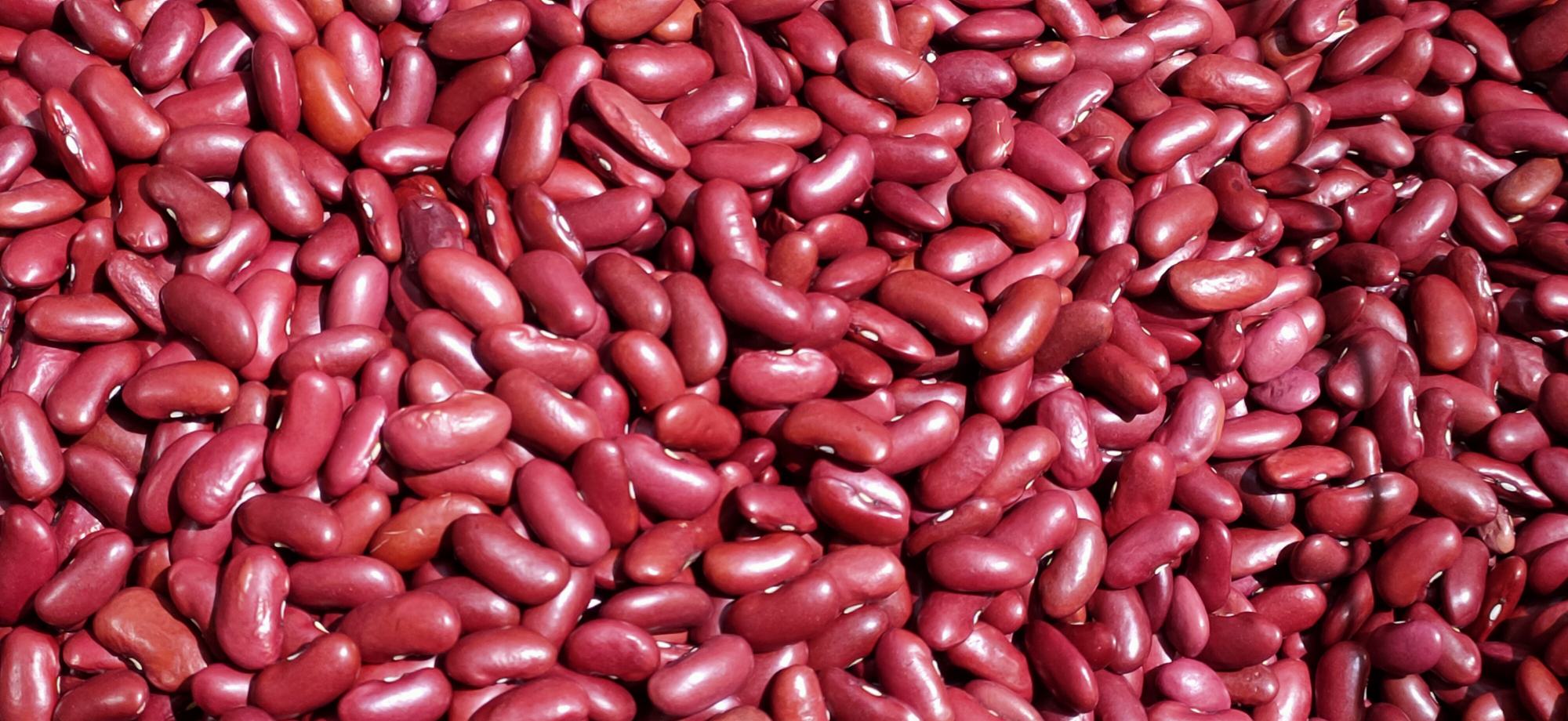 蚕豆变红现象展示图