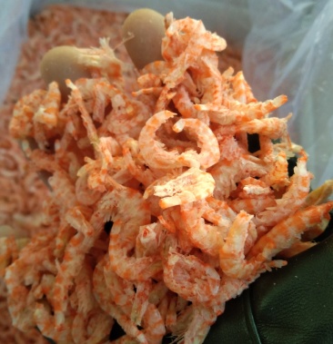 磷虾米去头去尾电商档口热销款性价比高货品质好