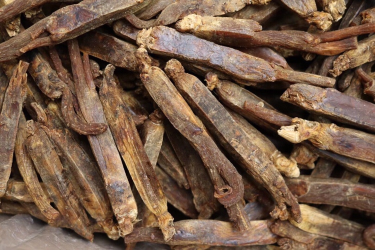 红参周期性食用建议图表