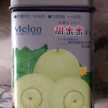 甜蜜蜜甜瓜一代交配早熟开花后35天左右成熟糖度最高17度