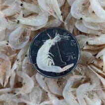 【精选】南方虾皮带盐分干度好大小均匀