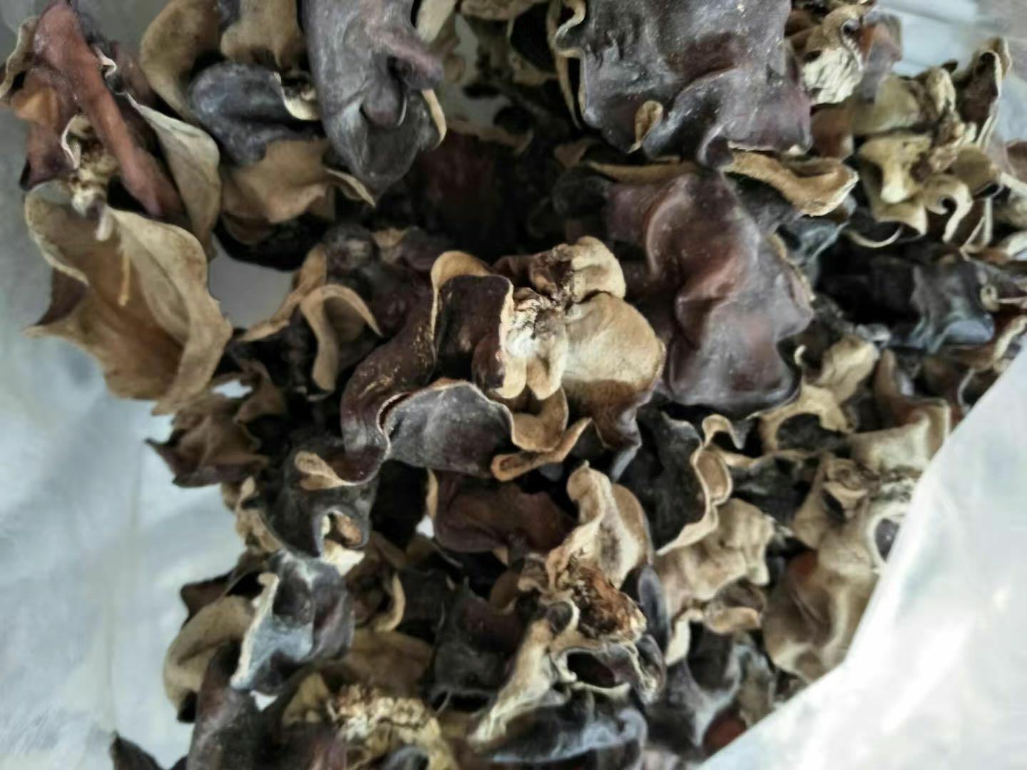 毛木耳烹饪图,展示毛木耳在中式菜肴中的应用 毛木耳烹饪图