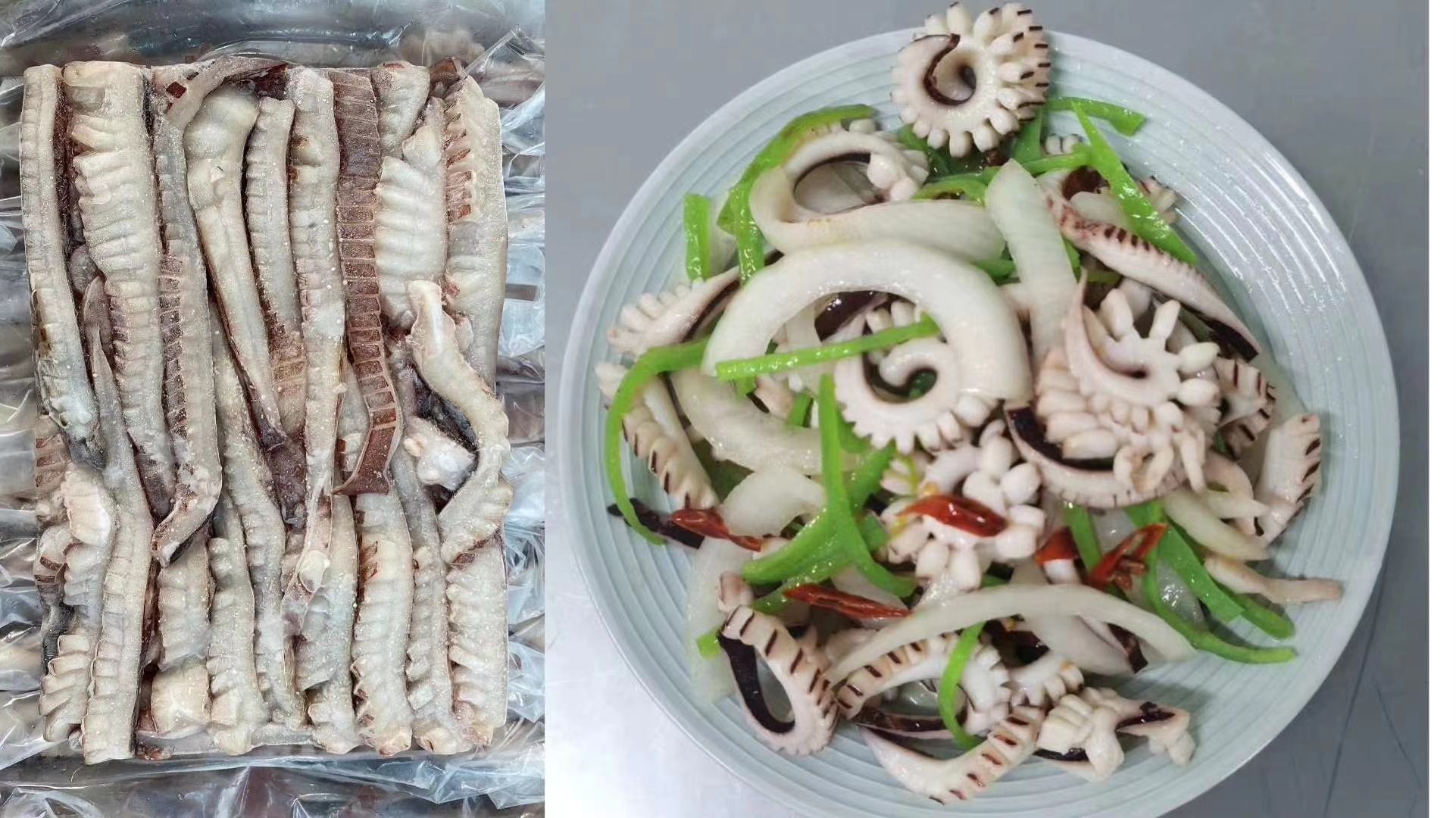 鱿鱼与章鱼对比图