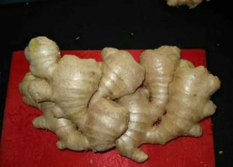 一位厨师正在案板上将新鲜面姜切成细丝,随后用刀背反复碾压成茸状;旁边摆放着整块未处理的面姜和已装入纱布袋的姜茸,背景为传统厨房环境 面姜处理过程特写