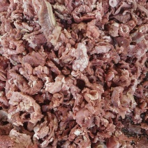 生牛肉筋图一是煮熟的样子质量超高价格低，量大