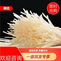 铁棍山药粉条保质保量量大从优全国发货