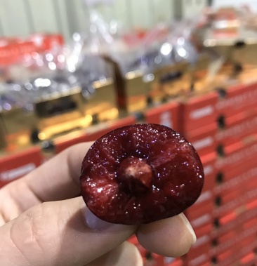 智利车厘子 royal dawn xld 10斤