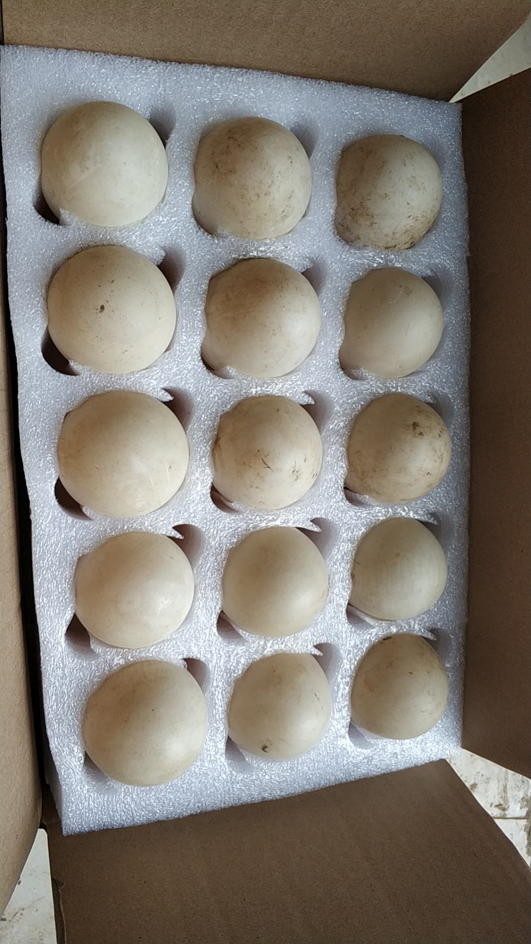 [番鸭蛋批发]头蛋,双黄番鸭蛋散养价格6.00元/斤 - 一亩田