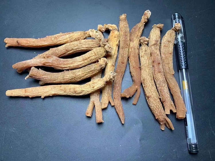 红参不同规格对比图