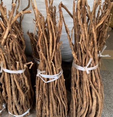 小叶红皮千斤拔干货野生千斤拔直条野生千斤拔干货千斤拔黄泥