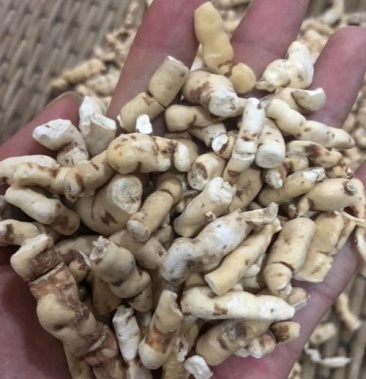 野生中药材甘遂500克包邮另有芫花大戟