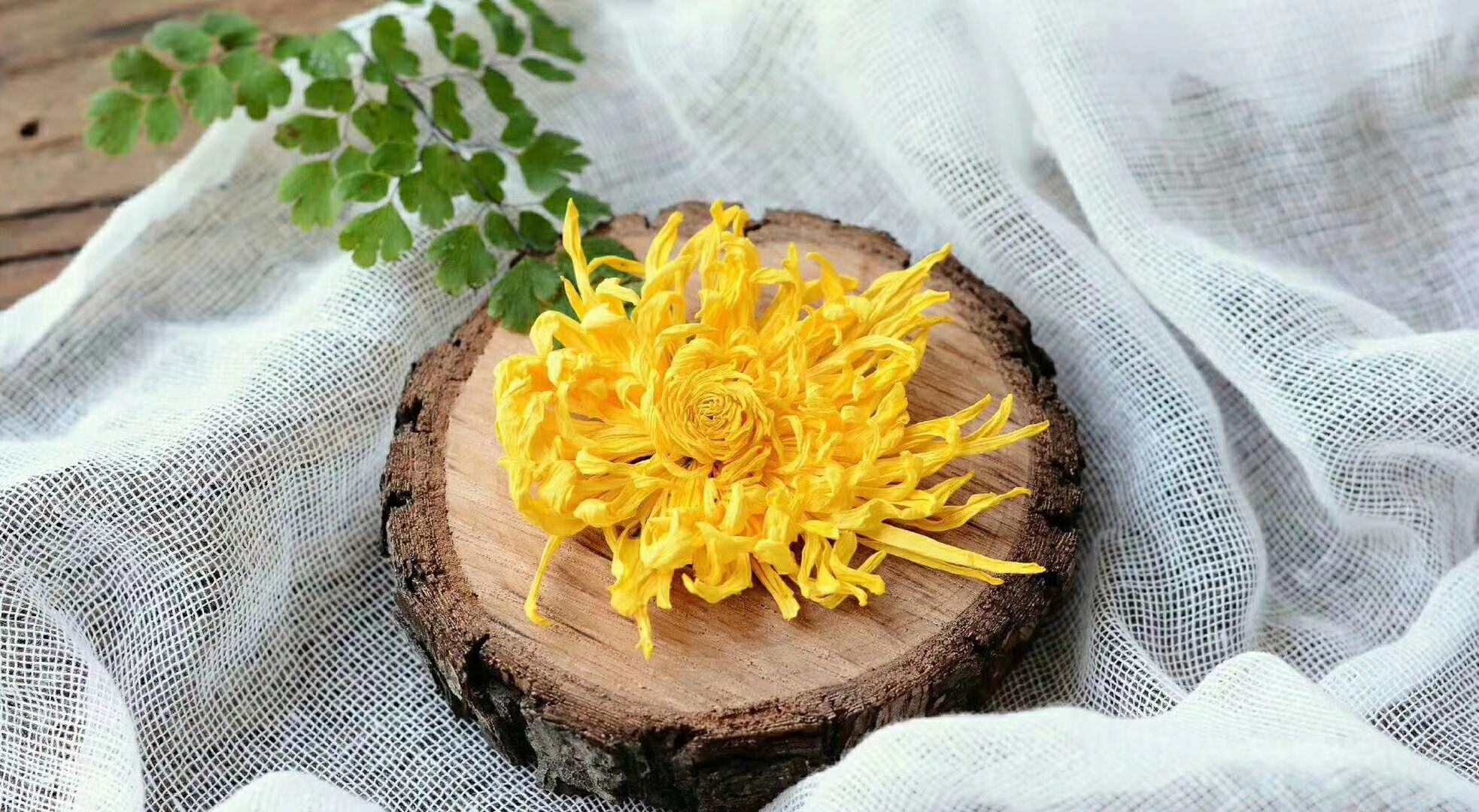 一杯冲泡好的野菊花茶,茶汤呈淡黄绿色,透明清澈,几朵舒展的野菊花漂浮其中,杯子置于木质桌面上,旁边放有一小碟干野菊花和一个玻璃蜂蜜罐,环境温馨自然 野菊花茶饮实景图