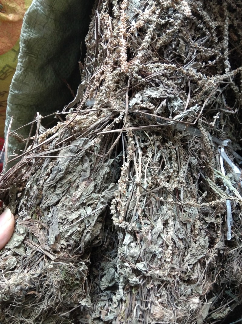 车前草无硫野生田冠草钱贯草车轮菜虾蟆衣一斤包邮