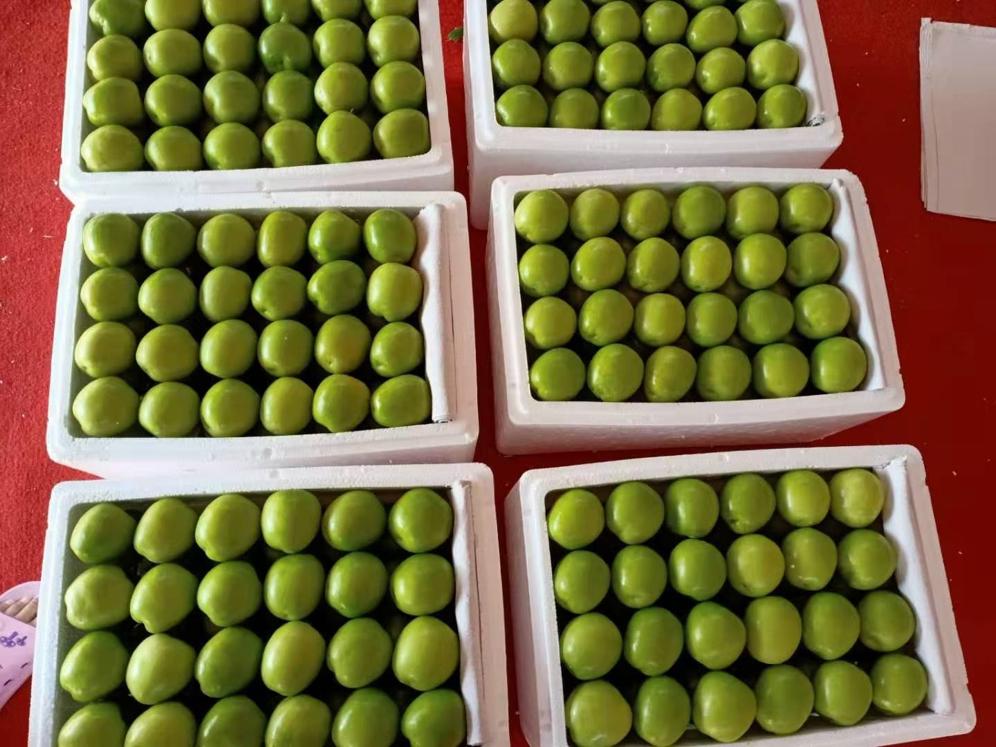 福建牛奶青枣市场销售场景