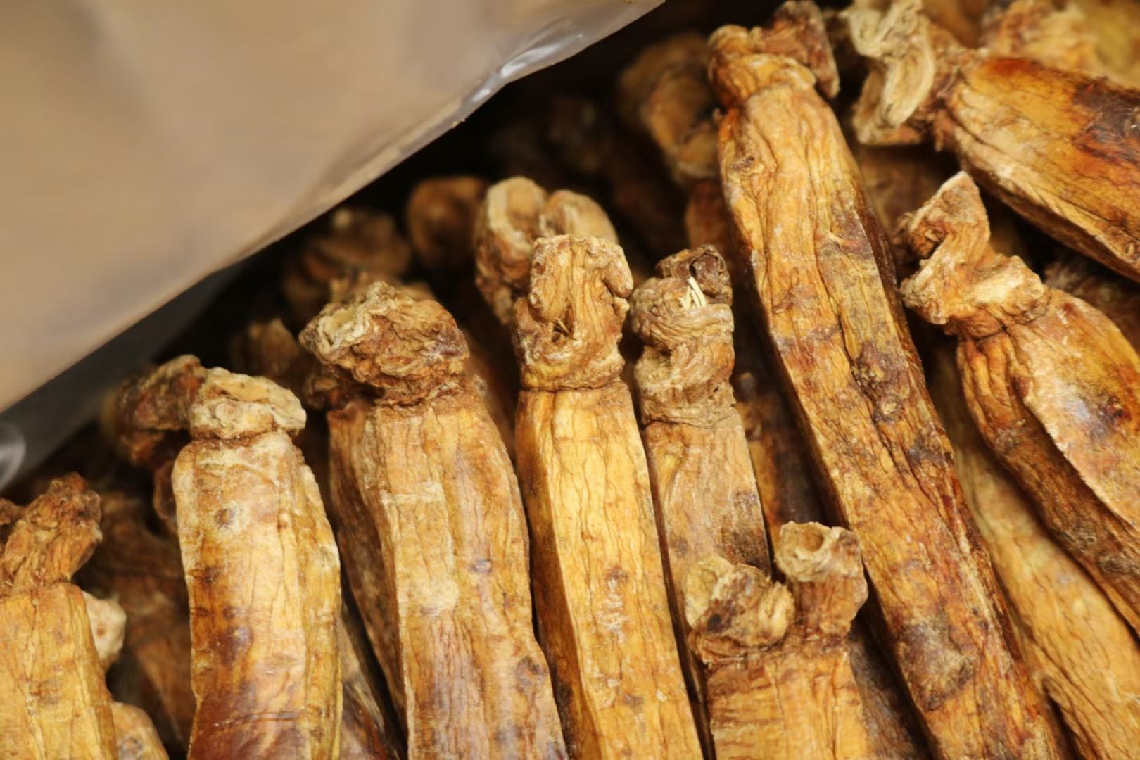 高丽红参（Suncheon品种）与北美花旗参（Wisconsin Gold品种）实物对比图