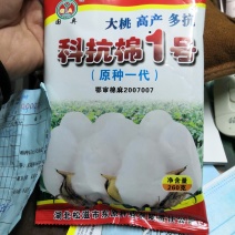 科抗棉1号大桃高产多抗优质抗虫棉花种子