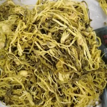 批发怀集甘洒六十日黄菜