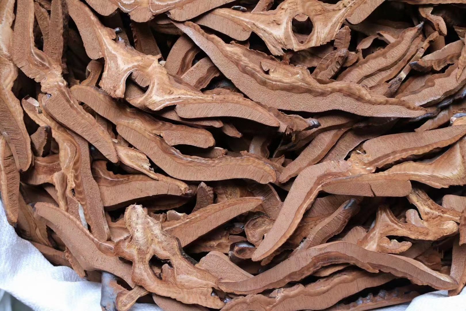 竹灵芝清洗切片过程