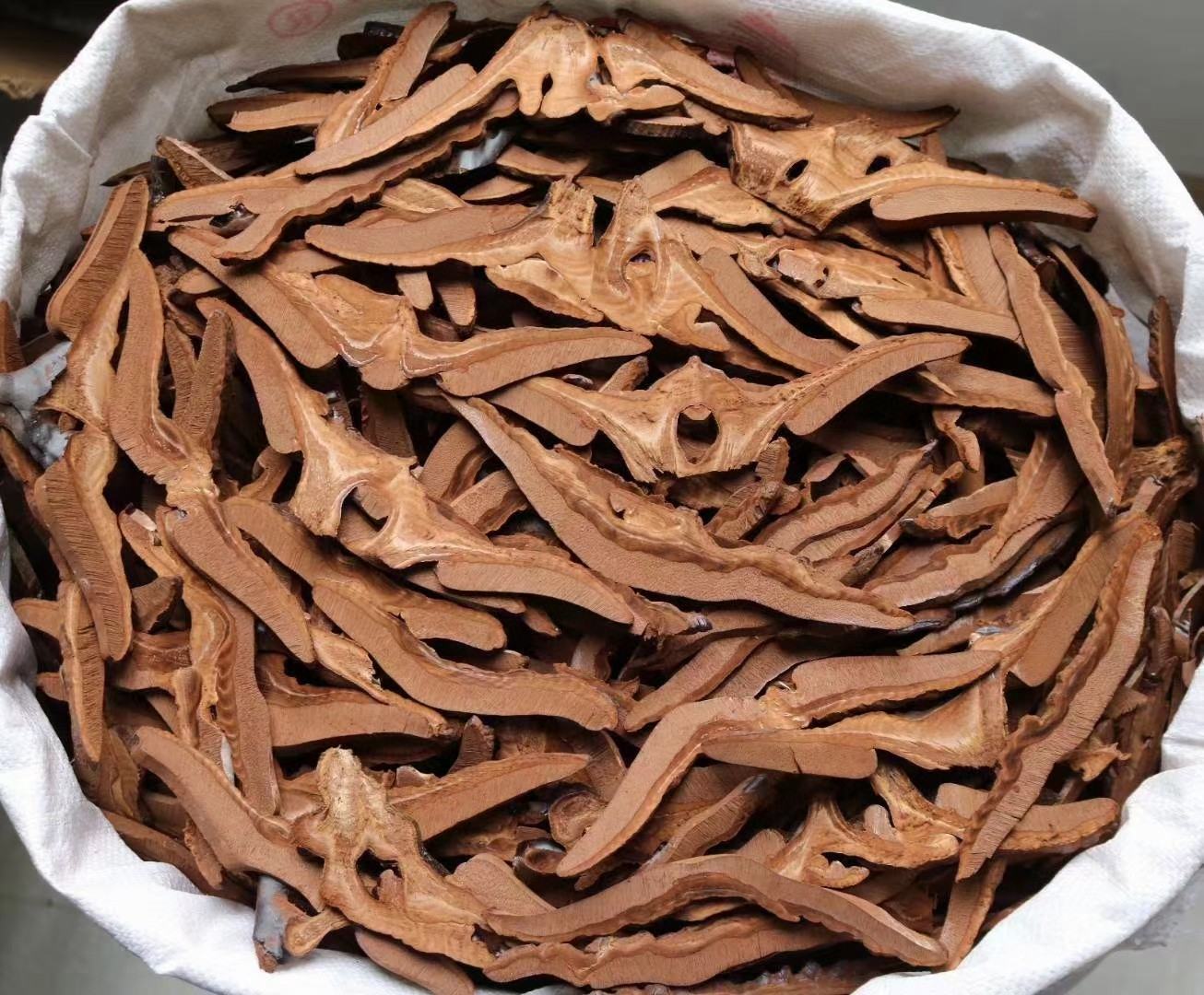 矷山灵芝切片展示