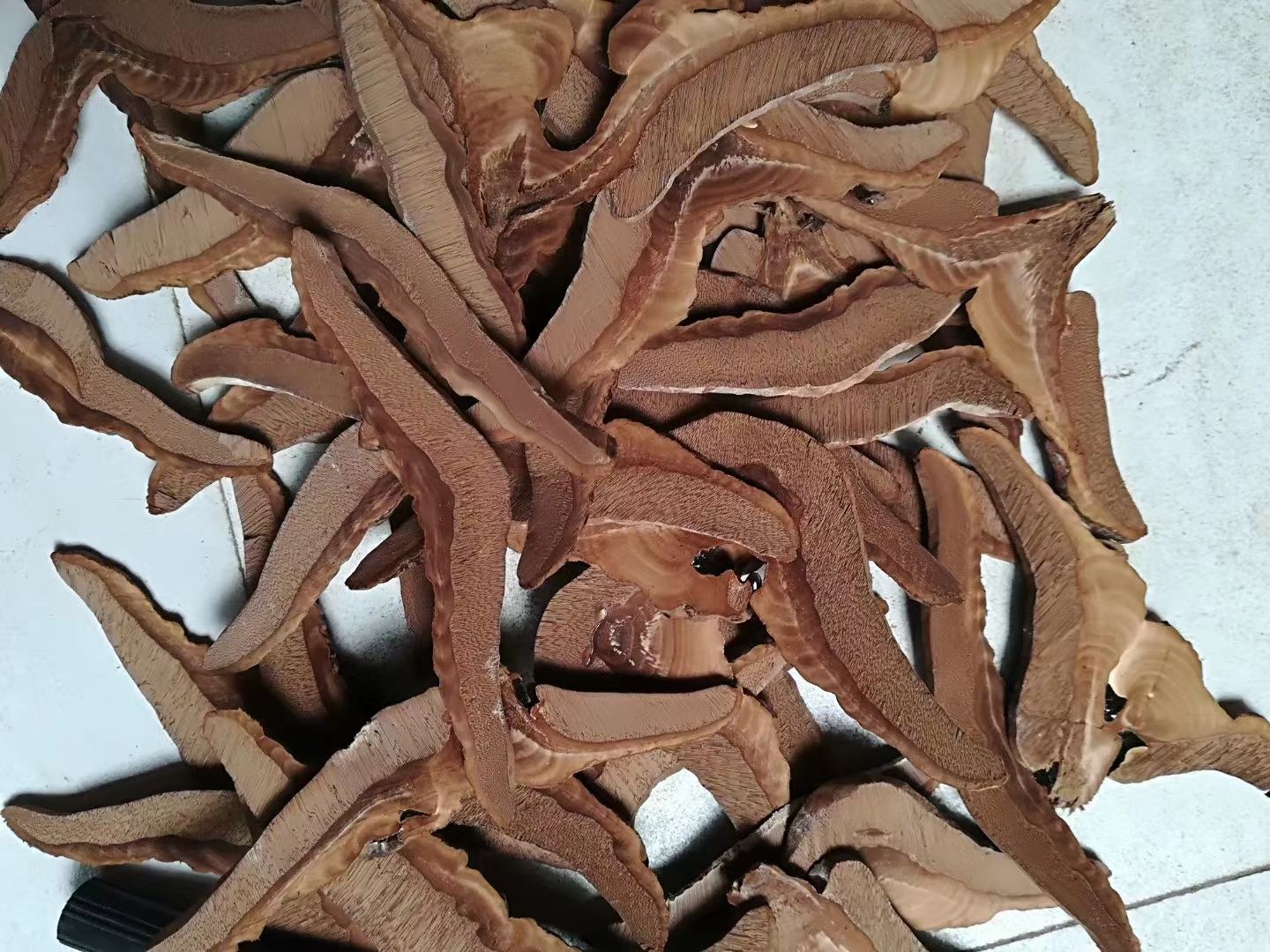 赤灵芝切片展示图,展示完整的灵芝切片产品形态,色泽红润,质地均匀 赤灵芝切片展示图