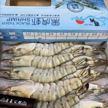 生冻黑虎虾金规格，550克/盒，一件10盒，上海现货