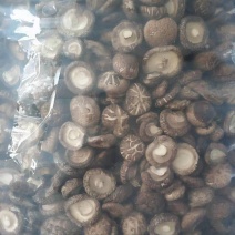 自己基地的干香菇，质量好