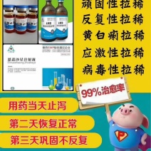 紧急预防猪腹泻，就灌止痢宝，安全无毒，快速修复肠道。