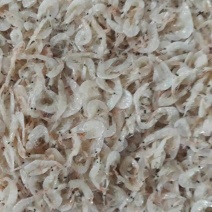 大量低价位无盐虾皮供应中市场走量电商拼多多