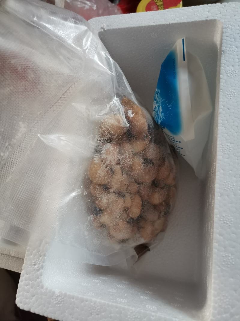 [批发]广西来宾武宣县 1.80元/个竹虫种苗大量供应!价格实惠 _ 一亩田