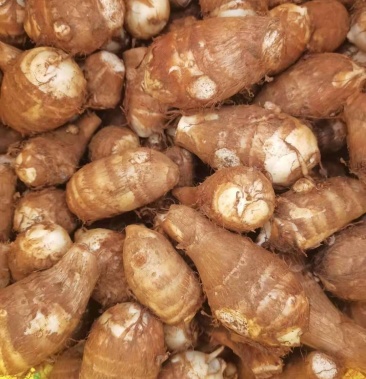 贵州高山芋头.生姜.批发地.本地直销.布美价廉