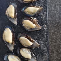 常年供应批发大青口，贻贝大海虹淡菜