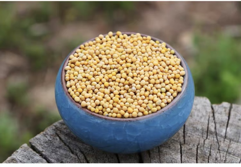 [白芥子批发]中药材正品野生白芥子500g (包邮)干货价格12.