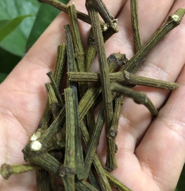 螃蟹脚寄生古树茶一手货源螃蟹脚干货精品