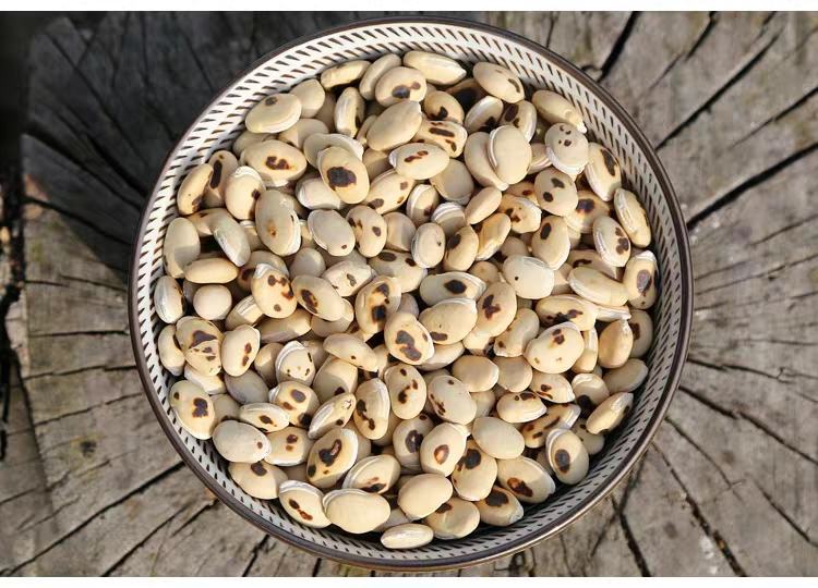 白花蛇舌草煮黑豆水成品图