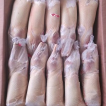 一级白条鸭12/12.5/13.5各20吨每吨680