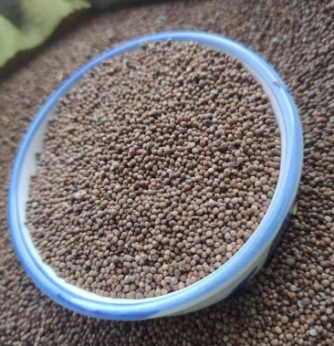 白苏子大苏子小苏子各规格可搭配多品种采购大货联系