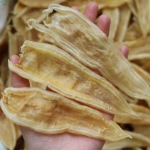 40头双背胶鱼胶花胶批发足干