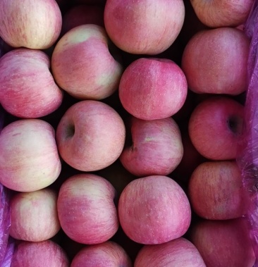 青龙富士苹果批发有意者联系产地直销,一手货源,价格优惠