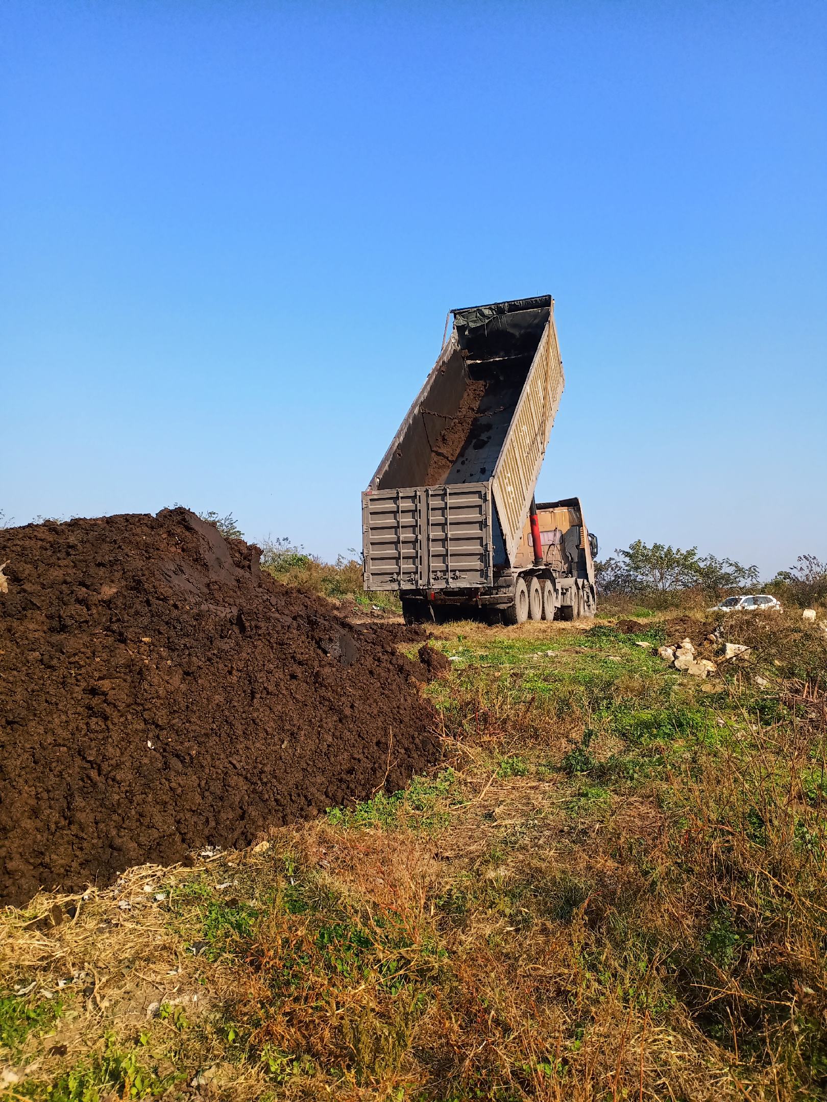[牛粪批发]生牛粪,出栏牛粪,风干牛粪,纯安格斯黄牛粪,干湿牛粪.
