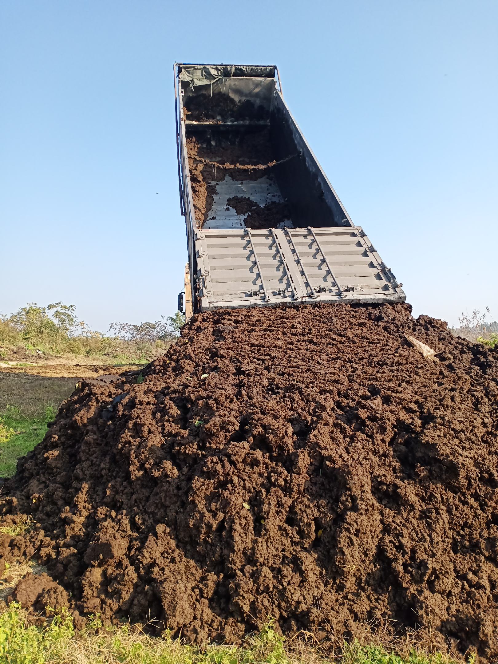 [牛粪批发]生牛粪,出栏牛粪,风干牛粪,纯安格斯黄牛粪,干湿牛粪.