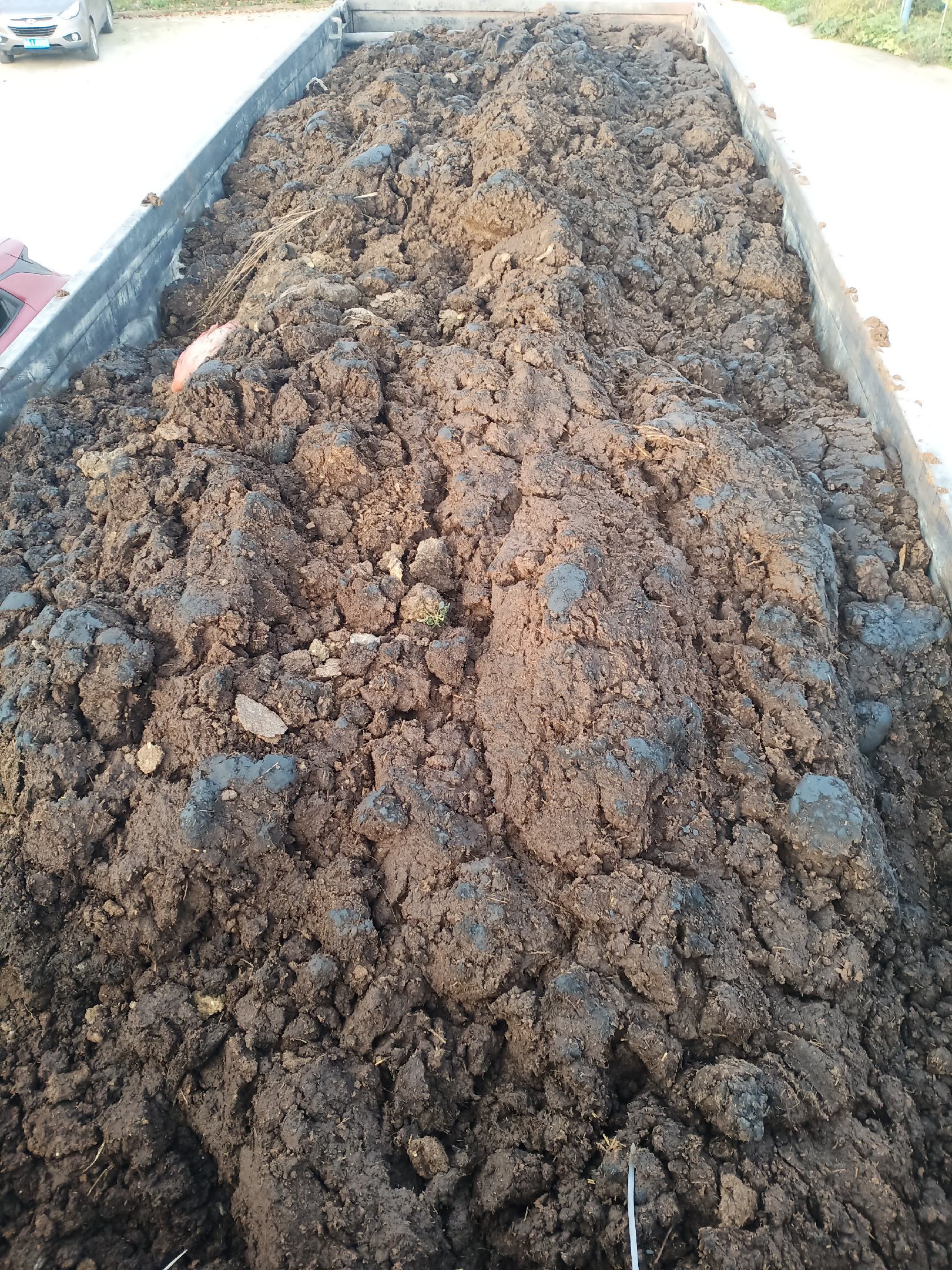 [牛粪批发]生牛粪,出栏牛粪,风干牛粪,纯安格斯黄牛粪,干湿牛粪.