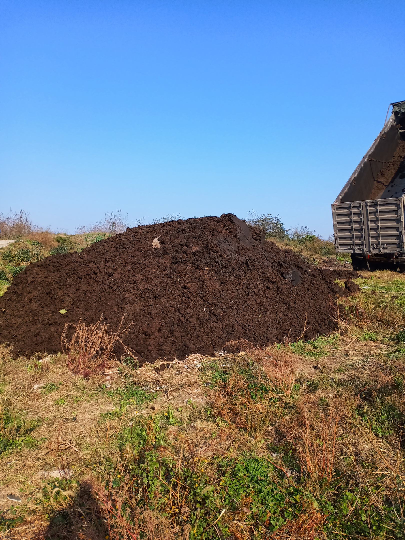 [牛粪批发]生牛粪,出栏牛粪,风干牛粪,纯安格斯黄牛粪,干湿牛粪.