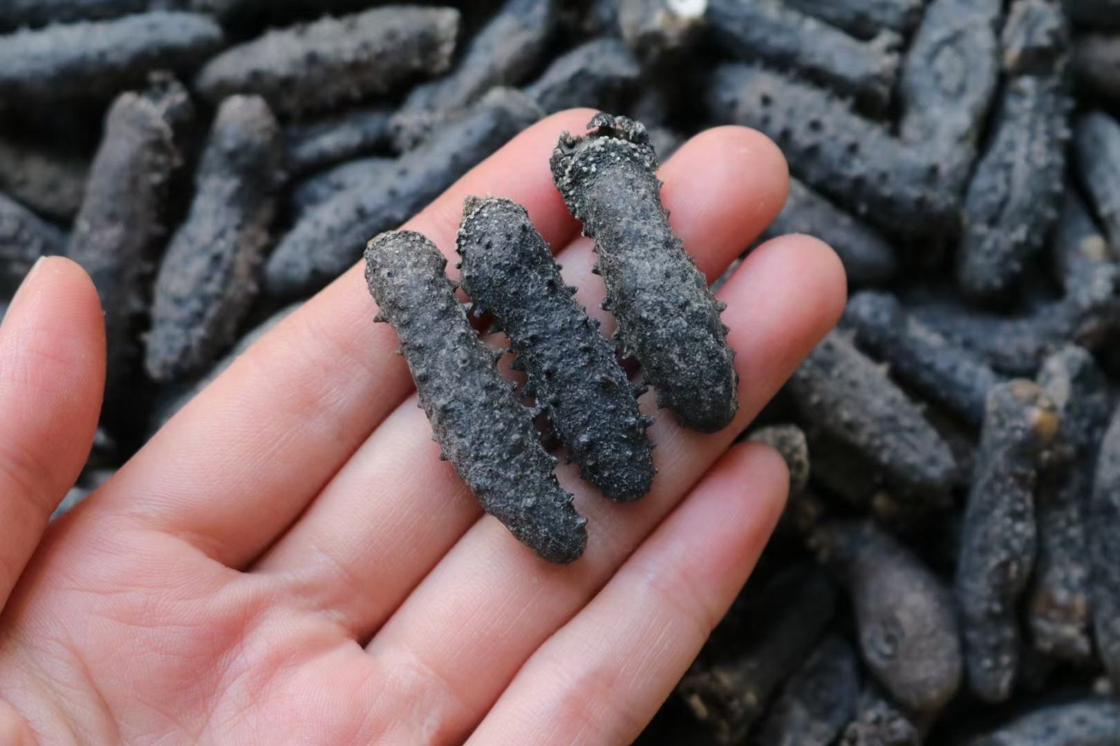 北沙参与其他食材嘌呤含量对比图
