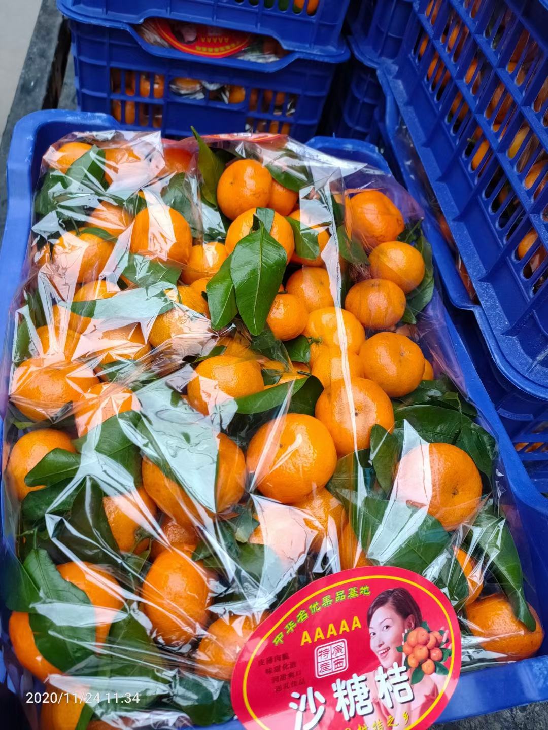 [沙糖桔批发]精品砂糖橘 原产地广西桂林 色泽靓 口感纯甜价格1.