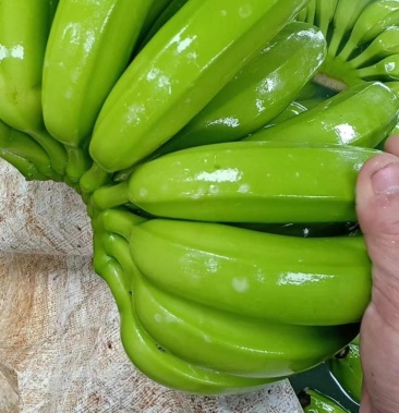 越南香蕉南部北部蕉常年直供全国更专业