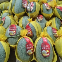 海南哈密瓜精品小密二十五号