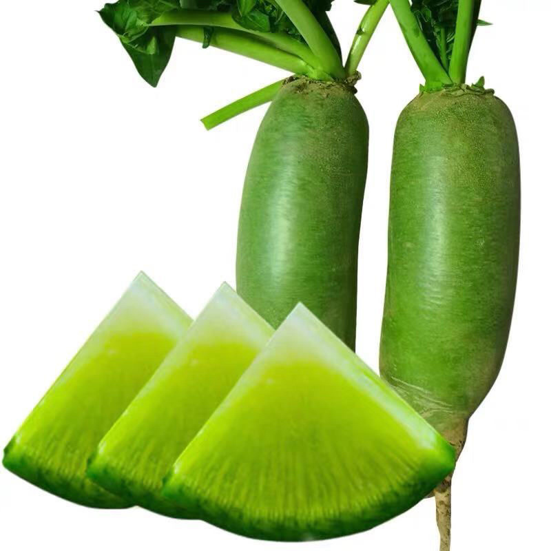 天津正宗沙窝水果萝卜批发零售七星萝卜